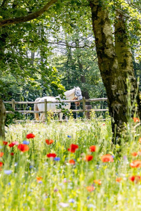 Equilodge 'T Blommeke - Reconnect With Nature Брюгге Экстерьер фото